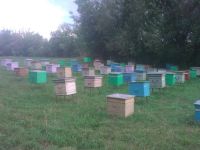 Лот: 6094854. Фото: 2. Мёд! АлтайскиЙ Мед! Урожай 2018... Продукты