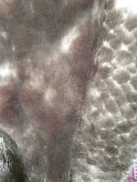 Лот: 14168021. Фото: 2. искусственный мех. Ручная работа