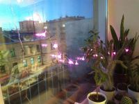 Лот: 8717222. Фото: 5. Гирлянда 20 LED на батарейках