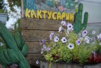 Лот: 5405596. Фото: 14. курс Ландшафтный дизайн (Intensive...