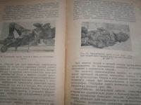Лот: 6357880. Фото: 3. Судебная медицина . 1949-1950... Литература, книги