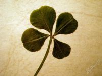 Лот: 676280. Фото: 3. Подарок - Удача. Разве тебе УДАЧА... Красноярск