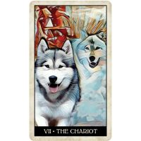 Лот: 21315842. Фото: 2. Карты Таро "Wise Dog Tarot" US... Сувениры