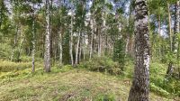 Лот: 25294724. Фото: 20. 3-комн. дача , село Овсянка село...