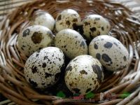 Лот: 8559280. Фото: 2. Яйцо перепелиное. Продукты