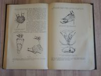 Лот: 21450397. Фото: 5. 2 книги учебник акушерство справочник...