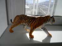 Лот: 5490987. Фото: 4. 4D Vision Tiger Anatomy Анатомическая...