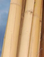 Лот: 2807480. Фото: 2. Бамбук. Строительные материалы