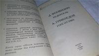 Лот: 10084722. Фото: 2. Недоросль. Горе от ума. Критика... Общественные и гуманитарные науки