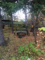 Лот: 4565968. Фото: 5. Продам дачу Ермолаево (СНТ Строитель...