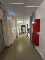 Лот: 25286179. Фото: 13. 1-комн. квартира , Красноярск...