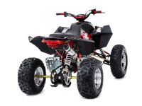Лот: 25636256. Фото: 3. Квадроцикл SHARMAX GX-Cruiser... Авто, мото, водный транспорт