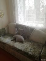 Лот: 13432452. Фото: 3. Сдам в Аренду 2х ком на Калинина. Недвижимость