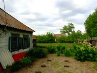 Лот: 2838382. Фото: 5. Усадьба с домом и баней в с.Знаменка...