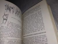 Лот: 13340720. Фото: 6. Тимофеев Н. С., Ханина А. Н...