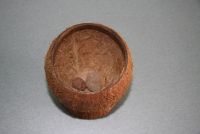 Лот: 20297533. Фото: 3. Горшок для цветов из кокоса. Растения и животные