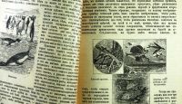 Лот: 20058018. Фото: 8. Чарльз Дарвин. Собрание сочинений...