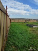 Лот: 25882860. Фото: 5. Участок