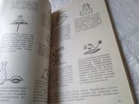 Лот: 19040295. Фото: 20. Афанасьев В.И., Задумов Л.Н. Полезные...