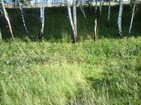 Лот: 5887696. Фото: 3. земельный участок 7 км до города. Недвижимость