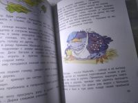 Лот: 25408330. Фото: 4. (209234)Мамин-Сибиряк, Федоров-Давыдов... Красноярск