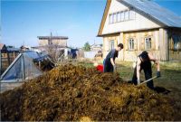 Лот: 3933810. Фото: 2. навоз коровий. Для дачи, дома, огорода, бани, парка