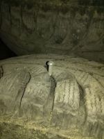 Лот: 10414172. Фото: 2. Шины Bridgestone Ice Cruiser 7000... Шины, Диски