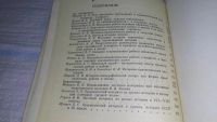 Лот: 11738299. Фото: 3. Внеклассная работа по истории... Литература, книги