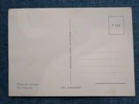 Лот: 24687151. Фото: 2. Открытка. Вьетнам. Цветы.(?)-Вербена... Открытки, билеты и др.