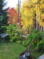 Лот: 25317088. Фото: 5. 2-комн. дом , садоводческое некоммерческое...