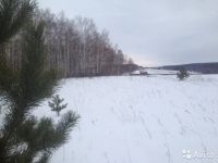 Лот: 11147894. Фото: 7. Земельный участок