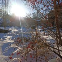 Лот: 14461432. Фото: 4. Дача. Красноярск