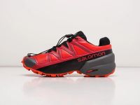 Лот: 16385688. Фото: 2. Кроссовки Salomon SPEEDCROSS 5... Мужская обувь