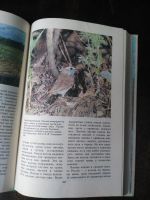 Лот: 20015946. Фото: 5. Книга Певчие птицы