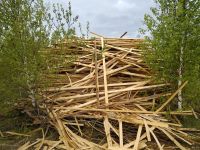 Лот: 13820009. Фото: 3. Горбыль, обрезки, рейка - отходы... Для дачи, дома, огорода, бани, парка