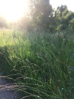 Лот: 18317472. Фото: 6. Земельный участок