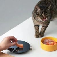 Лот: 20854864. Фото: 4. Кухонные весы HOTO | Модель QWCFC001... Красноярск