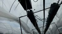 Лот: 11251921. Фото: 5. Емкости для выращивания клубники...