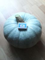 Лот: 10170102. Фото: 2. Тыквы сорт "Крошка". Продукты