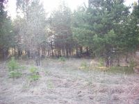 Лот: 4543215. Фото: 4. бизнес обмен. Красноярск
