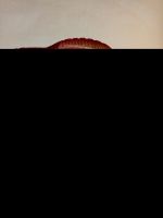 Лот: 16772230. Фото: 4. Прелестные зимние сапожки для... Красноярск