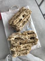 Лот: 11603131. Фото: 5. Песчаник