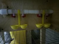 Лот: 9731344. Фото: 3. поилка нипельная двойная для перепелов... Растения и животные