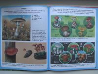 Лот: 5092863. Фото: 3. Жизнь леса Новое!. Литература, книги