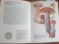 Лот: 20567850. Фото: 2. Книга ГРИБЫ ( из-во Артия Прага... Дом, сад, досуг