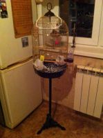 Лот: 6628607. Фото: 2. Красивая , большая клетка на подставке... Животные и уход