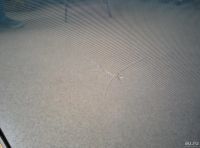 Лот: 8037844. Фото: 5. Телевизор 43" Samsung PS43D490A1W...
