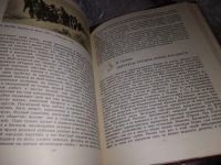 Лот: 16048529. Фото: 4. Искусство. Живопись.Скульптура... Красноярск