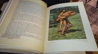 Лот: 24880178. Фото: 20. Das Olympia-Buch (Книга Олимпийских...