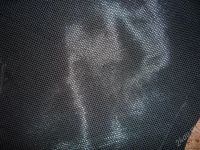 Лот: 2060951. Фото: 2. Стильный тренч на осень 50 размер. Женская одежда